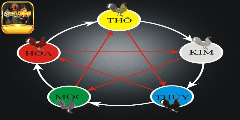 Cách xem ngày đá gà dựa theo ngũ hành